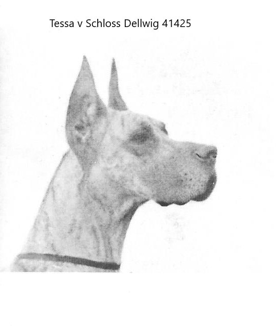 Tessa v Schloss Dellwig